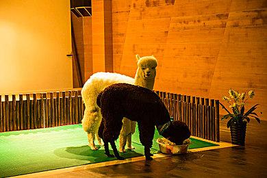 《猎天使魔女3》IGN评9分 Switch上顶级动作游戏